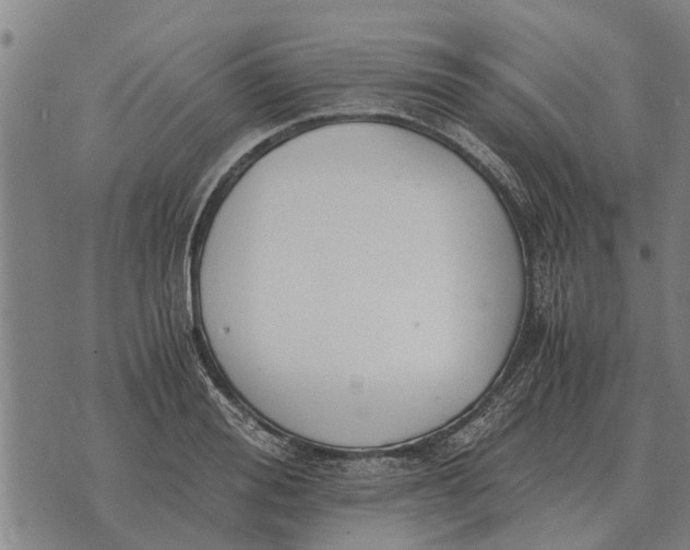 X0000073900988200609011714