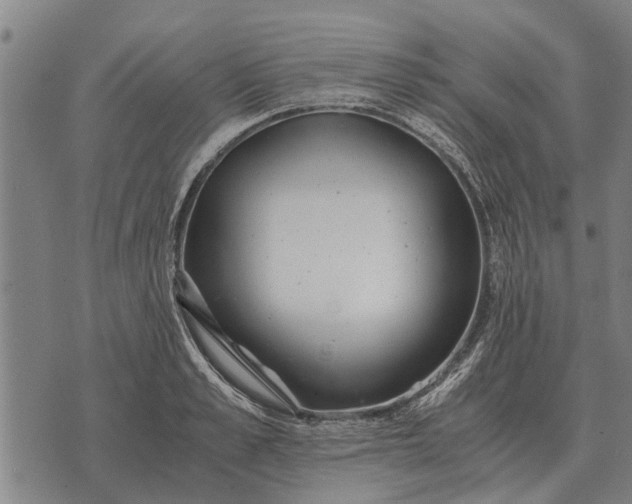 X0000073900989200609011714