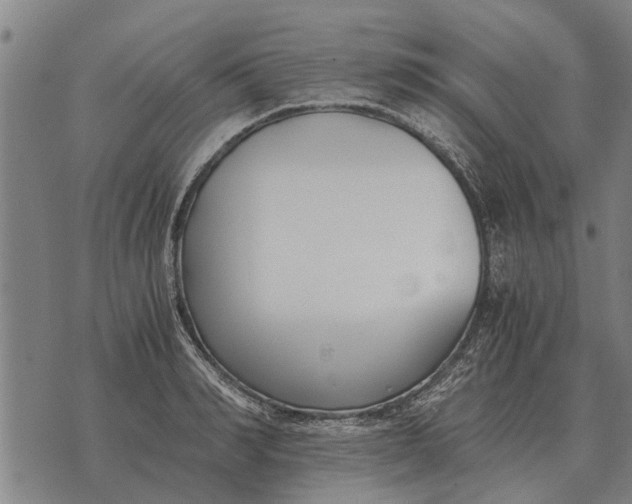 X0000073900990200609011714