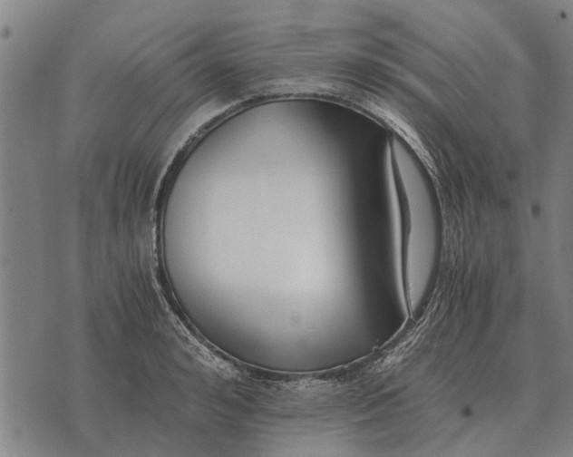 X0000073900992200609011714