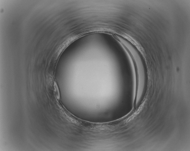 X0000073900993200609011714