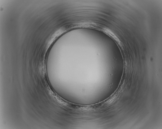 X0000073900994200609011714