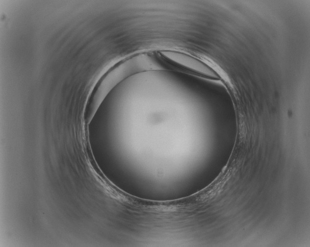 X0000073900996200609011714