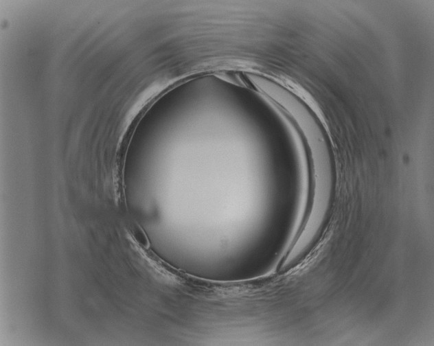 X0000073900997200609011714