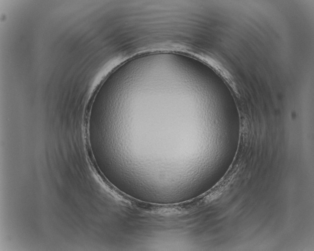 X0000073900998200609011714