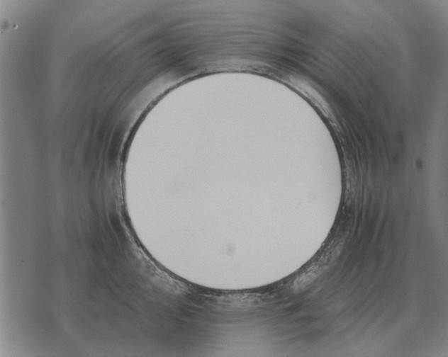 X0000073901000200609011714