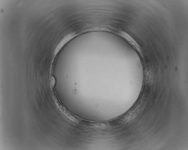 X0000073901002200609011714