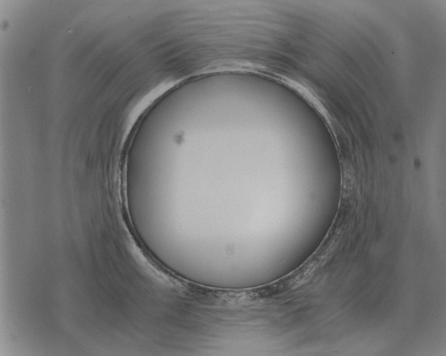 X0000073901003200609011714