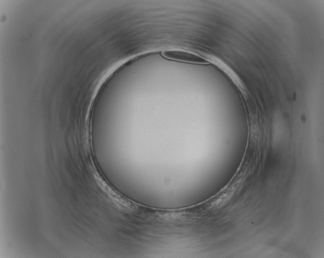 X0000073901004200609011713