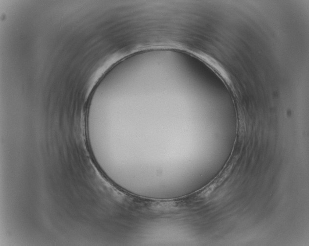 X0000073901006200609011713