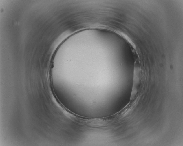 X0000073901007200609011713