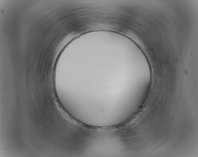 X0000073901008200609011713