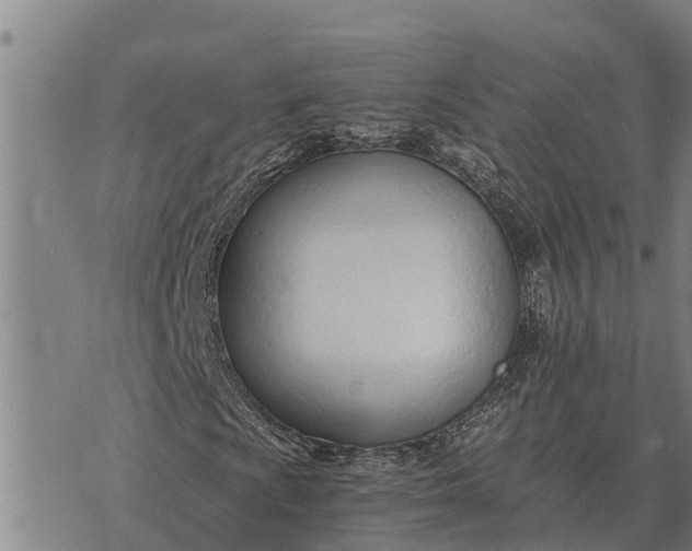 X0000073901009200609011713