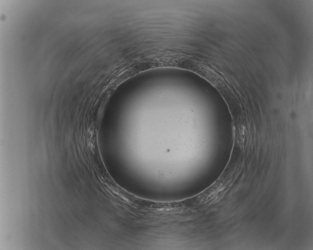 X0000073901010200609011713