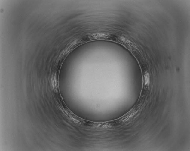 X0000073901011200609011713