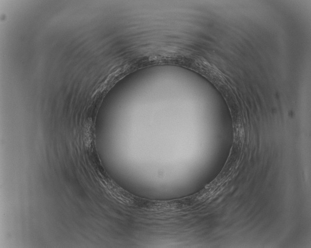 X0000073901012200609011713