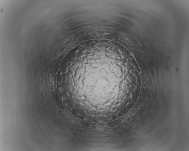 X0000073901013200609011713