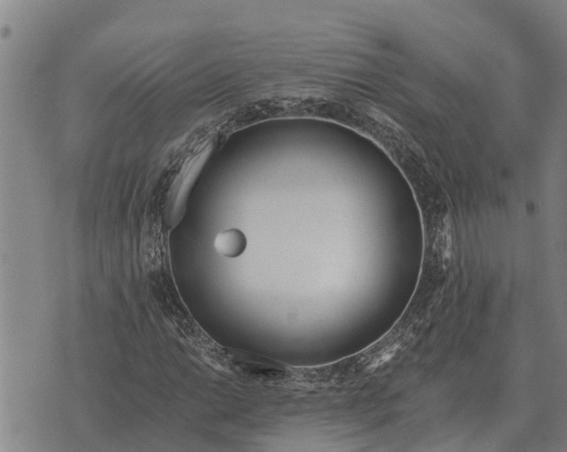 X0000073901014200609011713