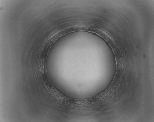 X0000073901015200609011713