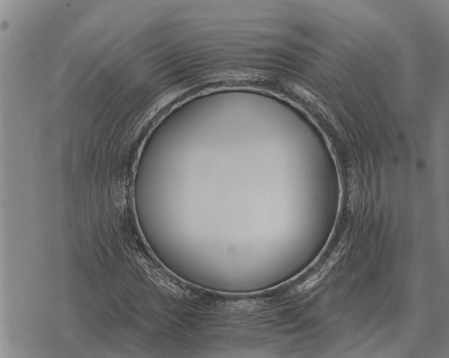 X0000073901017200609011713