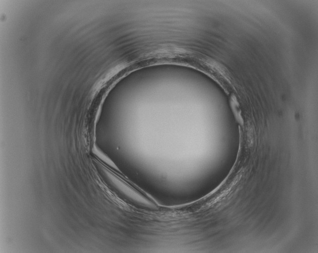 X0000073901018200609011713