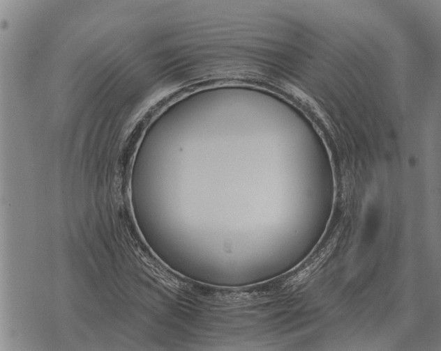 X0000073901019200609011713