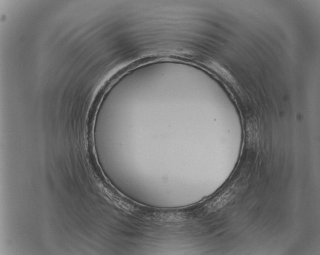 X0000073901020200609011713