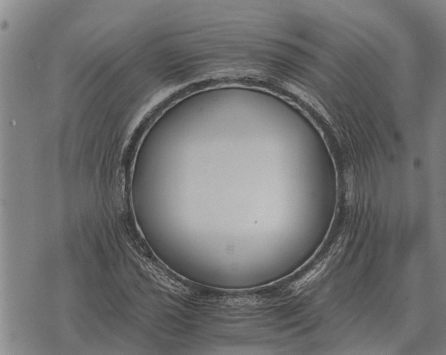 X0000073901021200609011713