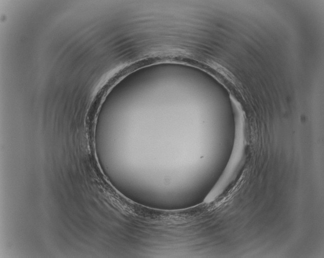 X0000073901022200609011713