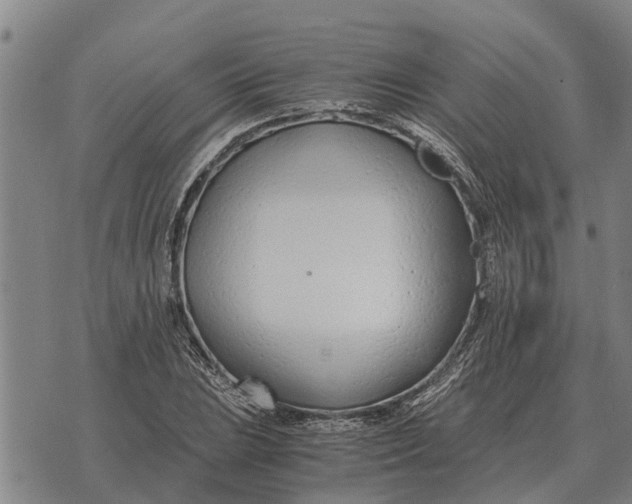 X0000073901023200609011713