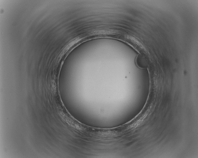 X0000073901025200609011713