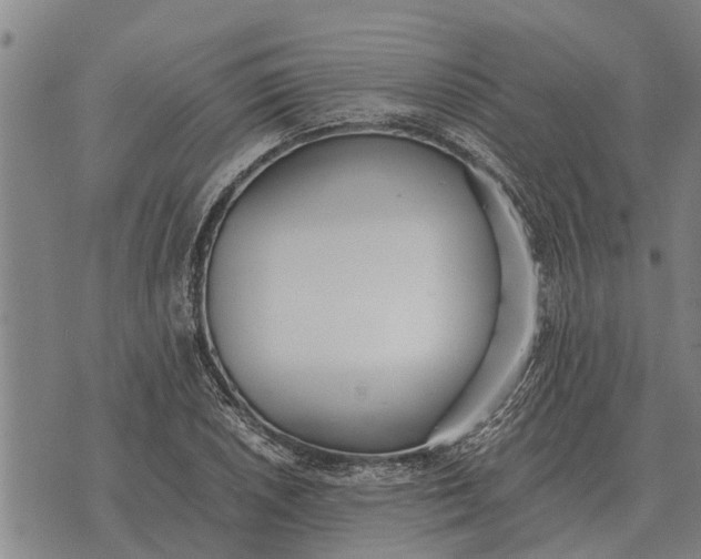 X0000073901026200609011713