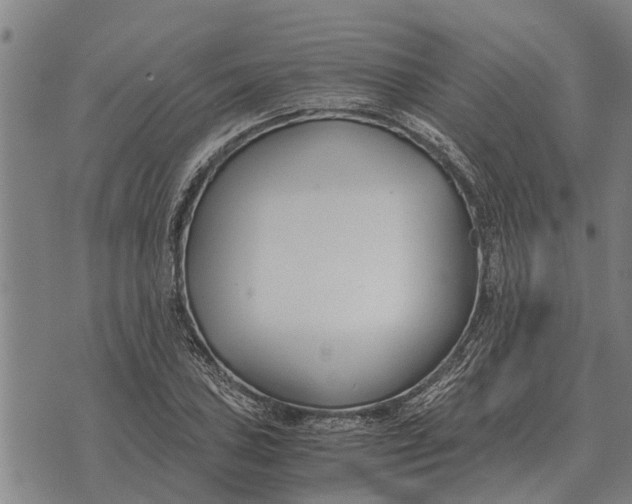 X0000073901027200609011713