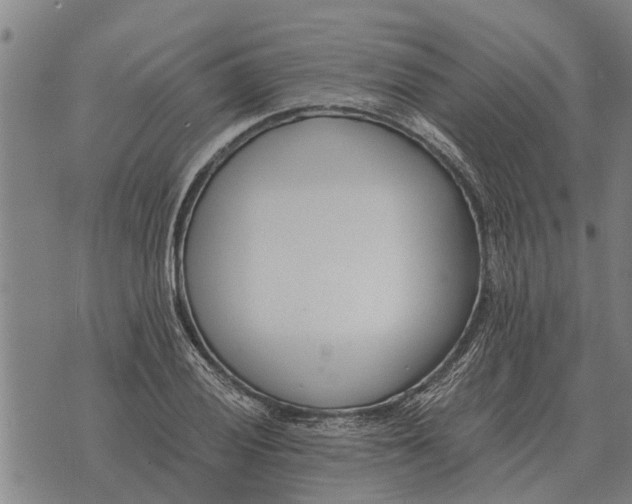 X0000073901028200609011713