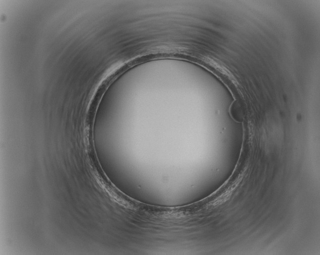 X0000073901029200609011713