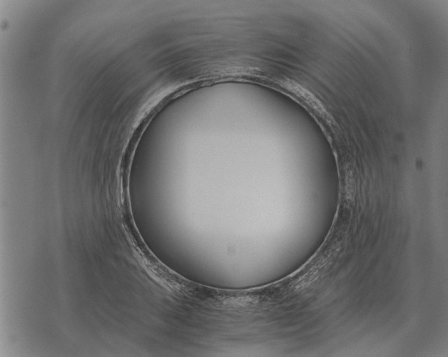 X0000073901031200609011713