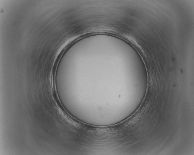 X0000073901032200609011713