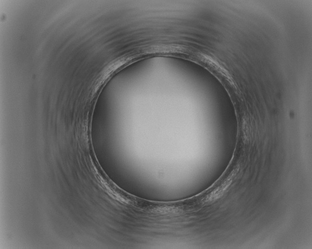 X0000073901033200609011713