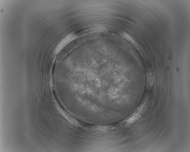 X0000073901034200609011713