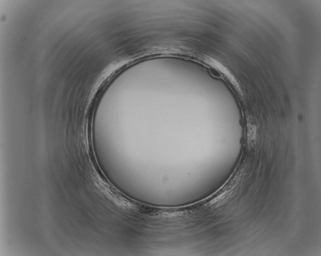 X0000073901035200609011713