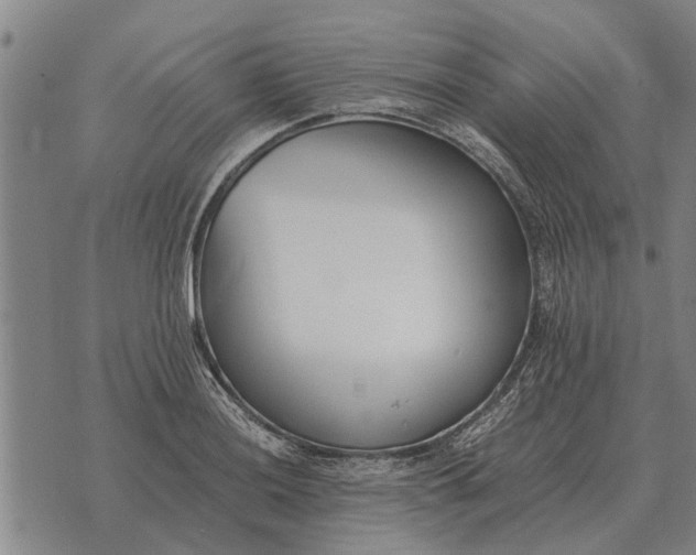 X0000073901036200609011713