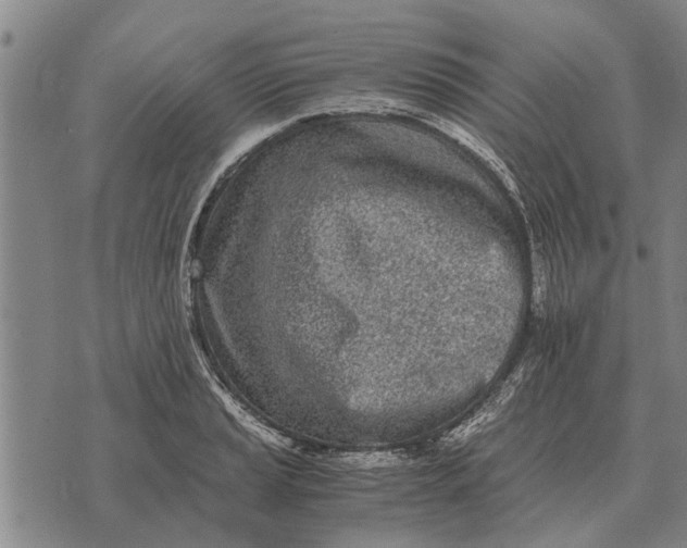 X0000073901037200609011713