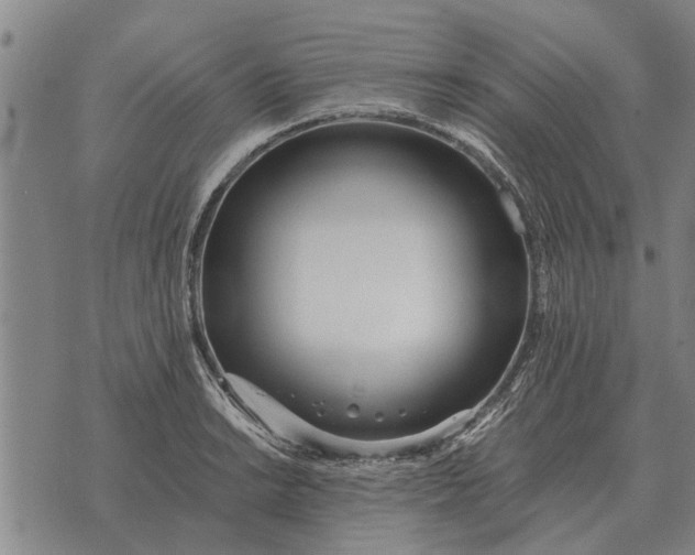 X0000073901038200609011713