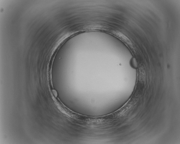 X0000073901039200609011713