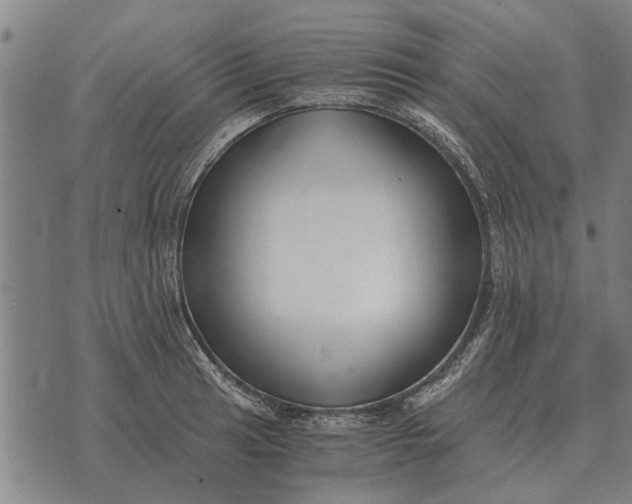 X0000073901041200609011713