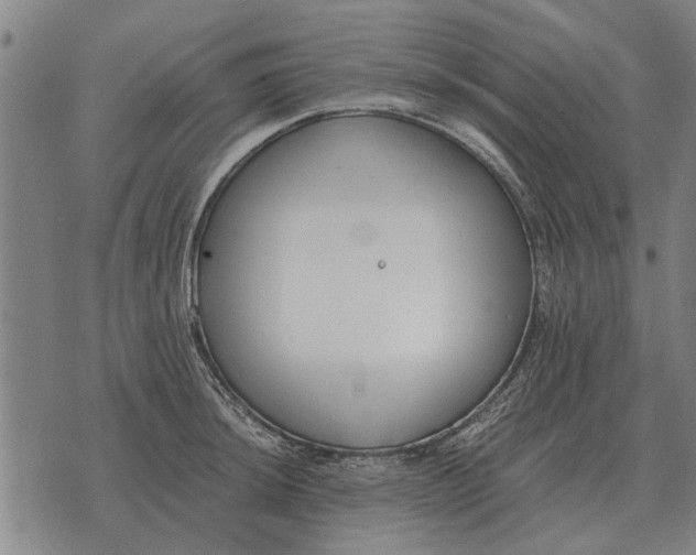 X0000073901044200609011713