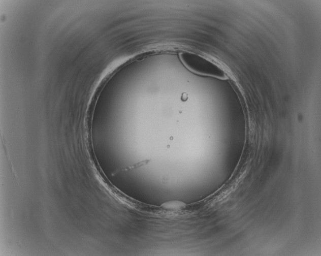 X0000073901045200609011713