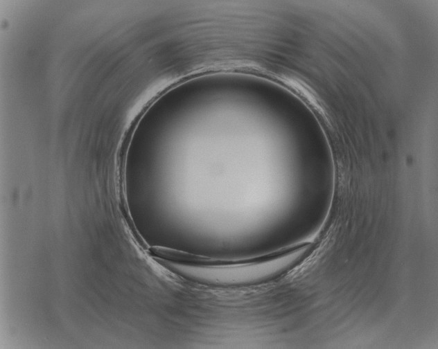 X0000073901046200609011713