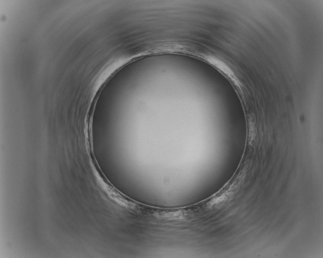 X0000073901047200609011713