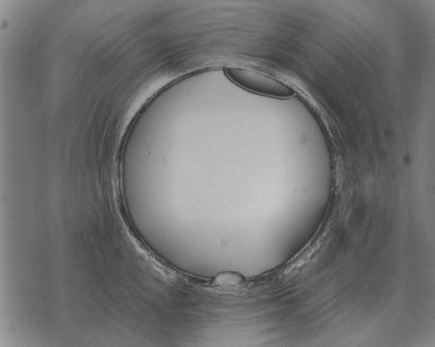 X0000073901048200609011713